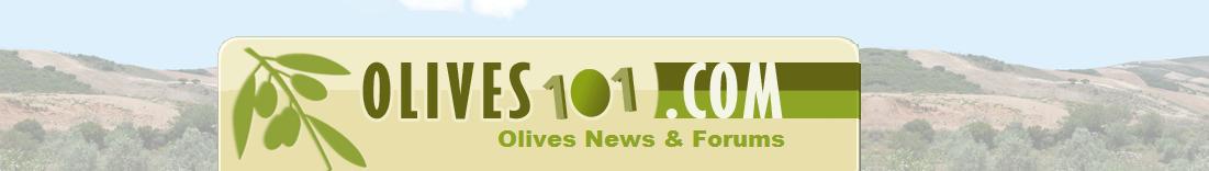 olives101.com Your Olives, Olive Oil Forum